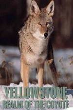 Watch Yellowstone: Realm of the Coyote Megavideo