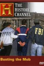 Watch The History Channel: Busting the Mob Megavideo