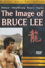Watch The Bruce Lee Story - (Meng nan da zei yan zhi hu) Megavideo