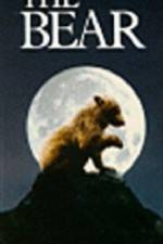 Watch The Bear - (L'ours) Megavideo