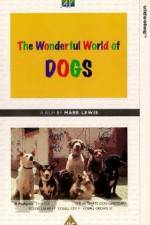 Watch The Wonderful World of Dogs Megavideo