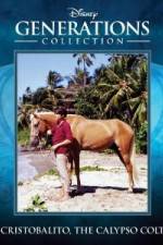 Watch Cristobalito the Calypso Colt Megavideo