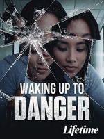 Watch Waking Up to Danger Megavideo