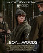 Watch The Boy in the Woods Megavideo