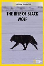 Watch The Rise of Black Wolf Megavideo