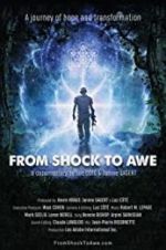 Watch From Shock to Awe Megavideo