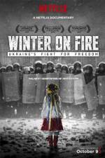 Watch Winter on Fire Megavideo