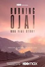 Watch Burning Ojai: Our Fire Story Megavideo