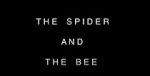 Watch The Spider and the Bee Megavideo