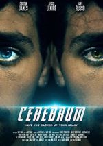 Watch Cerebrum Megavideo