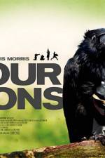 Watch Four Lions Megavideo