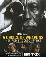 Watch A Choice of Weapons: Inspired by Gordon Parks Megavideo