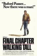 Watch Final Chapter Walking Tall Megavideo