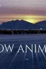 Watch Snow Animals Megavideo