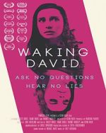 Watch Waking David Megavideo