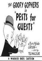 Watch Pests for Guests (Short 1955) Megavideo