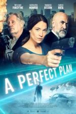 Watch A Perfect Plan Megavideo