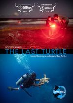 Watch The Last Turtle (Short 2019) Megavideo