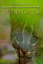 Watch Thailand's Wild Cats Megavideo
