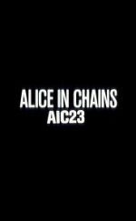 Watch Alice in Chains: AIC 23 Megavideo