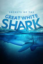 Watch Secrets of the Great White Shark Megavideo
