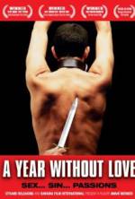 Watch A Year Without Love Megavideo