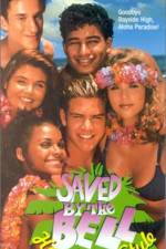 Watch Saved by the Bell Hawaiian Style Megavideo