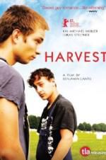 Watch Harvest Megavideo