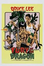 Watch Fury of the Dragon Megavideo