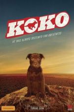 Watch Koko: A Red Dog Story Megavideo