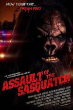Watch Sasquatch Assault Megavideo