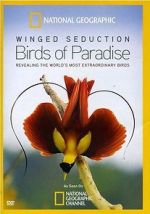 Watch Winged Seduction: Birds of Paradise Megavideo