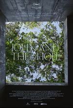 Watch John and the Hole Megavideo