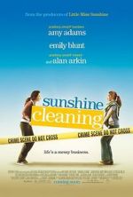 Watch Sunshine Cleaning Megavideo