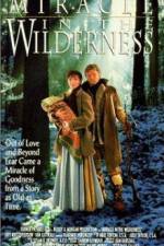 Watch Miracle in the Wilderness Megavideo