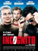 Watch Incognito Megavideo