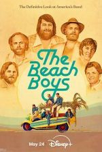 Watch The Beach Boys Megavideo