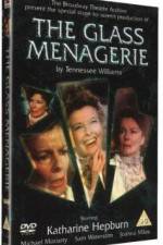 Watch The Glass Menagerie Megavideo