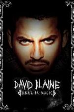 Watch David Blaine: Real or Magic Megavideo