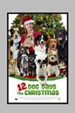 Watch 12 Dog Days Till Christmas Megavideo