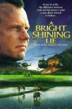 Watch A Bright Shining Lie Megavideo
