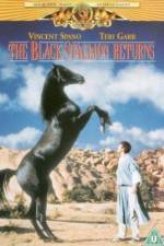 Watch The Black Stallion Returns Megavideo