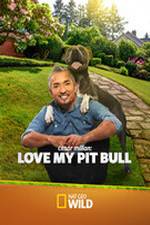 Watch Cesar Millan: Love My Pit Bull Megavideo