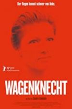 Watch Wagenknecht Megavideo