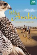 Watch Wild Arabia Megavideo