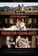 Watch Eisenstein in Guanajuato Megavideo