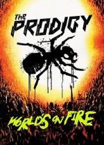 Watch The Prodigy: World\'s on Fire Megavideo