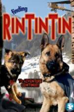 Watch Finding Rin Tin Tin Megavideo