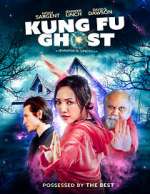 Watch Kung Fu Ghost Megavideo