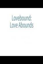 Watch Lovebound: Love Abounds Megavideo